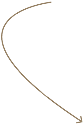Pfeil Links